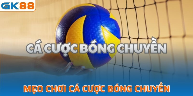 Mẹo chơi cá cược bóng chuyền hiệu quả